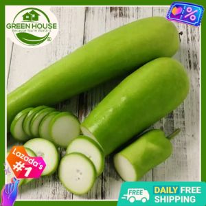 Green House® - Upo Seeds for Planting Vegetable Plants (13 Seed) Bottle Gourd incl. Planting Instruction for Opo Squash