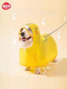 hipidog | Áo Mưa Chống Thấm Nước và Chống Bẩn cho Chó Nhỏ đến Vừa