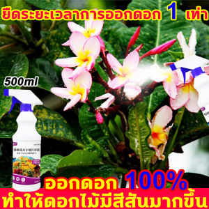 ทำให้การปลูกดอกไม้เป็นเรื่องง่าย เร่งดอก 1 ขวด 500มล เหมาะสำหรับการเสริมต้นไม้ ผลิตภัณฑ์อาหาร และปุ๋ยเพื่อช่วยให้พืชแข็งแรง และดูดซึมได้เร็วขึ้น