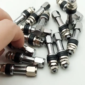 100Pcs TR43E Tubeless Tire Valve Bolt-in Stainless Steel Wheel Air Valve Stem Dust Cap Universal Car Motorsiklo