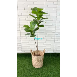 Pohon Hias Tanaman Artificial Ktapang X2 T100 Latex Cover Pot Eceng Gondok Handle Dekorasi Kantor Pajangan Apartemen