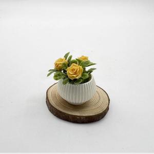 JETTING | **New Sale 1Pcs Doll House Living Room Scene Decoration Mini Rose Plant Potted Plants Model Miniature Landscape Handicrafts