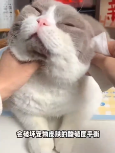 800แผ่น !!ทิชชู่เปียก Pet wipes 80แผ่น ผ้าเช็ดตาและหูสัตว์เลี้ยง สำหรับเช็ดสัต ว์เลี้ยง ทิชชู่เปียก ทิชชู่หมา น้ำบริสุทธิ์ แรงทำความสะ แผ่นเช็ดแมว แผ่นเช็ดตาสุนัขและแมว ผ้าเช็ดตาและหู ทิชชู่เปียกเช็ด ทำความสะอาดสัตว์เลี้ยง