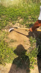 จอบดายหญ้าแบบครึ่งวงจันทร์ ปล่อยตรงจากโรงงาน ใบจอบหนาและกว้างพิเศษ ทำจากเหล็กทั้งชิ้น เหมาะสำหรับการถางหญ้า เปิดป่า ขุดดิน และขุดหน่อไ