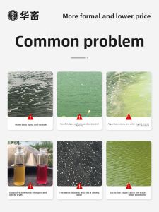 HUAXU | Aquaculture专用 Composite Bacillus Powder