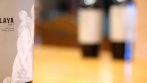 Atalaya La Atalaya del Camino 2020 Spain Almansa Grenache Red Wine 750ml ABV 15.5