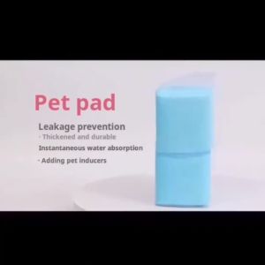 Dog Potty Pads & Pet Pee Pads: A Comprehensive Guide