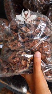 Sarang Semut Papua 500gr - Asli Papua Grade A