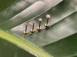 2/6PCS Stainless Steel Eearring Nose Stud Cartilage Piercing Jewelry Helix Tragus Lip Flat Back Tiny Earrings for Women 18G