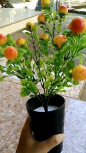 MPPT48 Pot Tanaman Cabai Jeruk Hias Bunga Hias Plastik Ornamen Pot Cabe Buah Bonsai Artificial Flower Decoration