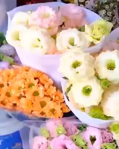 Nước cắm hoa giữ hoa tươi lâulọ to 500ml nước chăm sóc hoa và cây không bị thối giữa