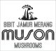 muson mushroom