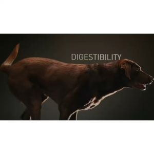 Instinct® Limited Ingredient Diet Lamb Dry Dog Food