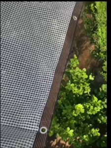 [2m-10m] Lưới Che Nắng Tạo Bóng Râm Mát Cách Nhiệt Mùa Hè Chống Bụi Chắn Tia UV Chống Côn Trùng Cho Cây Trồng Tiện Lợi
