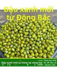 Northeast Farm Fresh Edible Mung Beans Sproutable