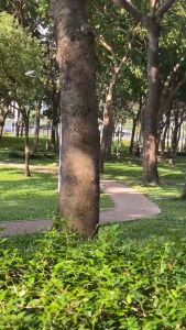 Túi đeo chéo CNT IPAD22