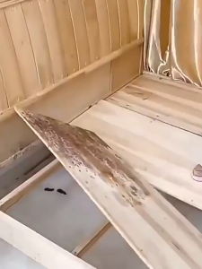 Wood mold remover spray Mildew Spot Mold Cleaner Remove mold from the walls Mildew prevention spray moisture-resistant