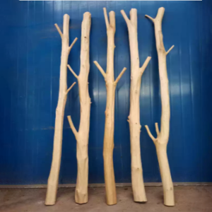 Zaimuding | Natural Wood Branch Room Divider Decoration