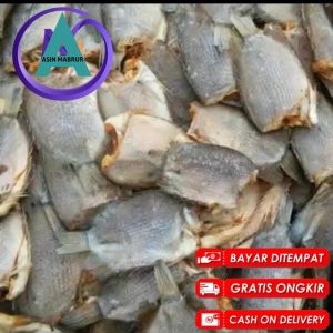 Ikan Sepat Tembakang Tarabakan Jual Murah