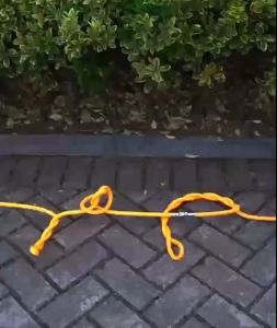 ข้อต่อฟรียอย ข้อต่อฟรีพ่นยา คอปเปอร์ถอดได้ สำหรับสายพ่นฉีดยา ฟรียอย ตัวฟรี ขนาด 2 หุน