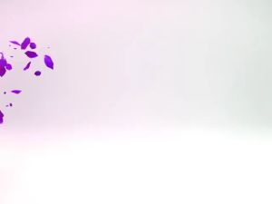 ( CUCI GUDANG ) NAGARAKU PREMIUM EYELASH EXTENSION TIPE C CURL / TIPE D CURL BULU MATA PALSU NAGARAKU EYELASH EXTENSION MINK LASHSES PASANG SINGLE SIZE EYELASH BULU MATA PALSU LENTIK LSH046