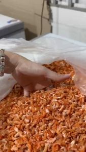 TÔM KHÔ CON NHÍ TÔM ĐẸP KHÔNG NÁT VỤN. NẤU CANH CHÁO NƯỚC LÈO CHIÊN CƠM.....