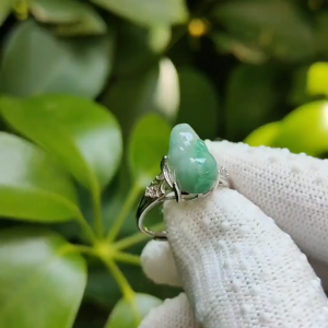 🌿 Elemental Harmony Ring - For All Seekers of Fortune 🌌 - (Sku: S925ring29)