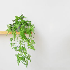 Jiusi Artificial Hanging Green Plant Chlorophytum Hanging Plant Pot Office Shop Decoration Green Bonsai Art357