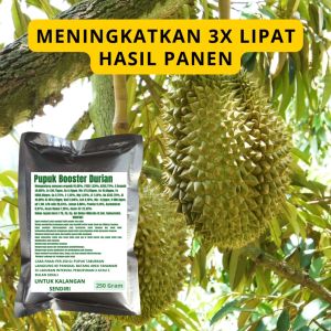 Pupuk Booster Durian: Meningkatkan Kualitas Buah