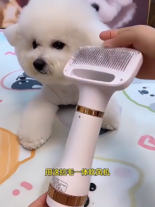 GREENPETS 2 in 1 Pet Hair Dryer Comb Portable Pet Grooming Cat Hair Dog Fur Blower with Slicker Grooming Brush