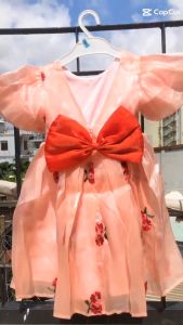 Váy đầm công chúa cho bé gái chất tơ organza sang sáng mịn Đầm tơ Organza thiết kế thêu hoa cao cấp cho bé gái