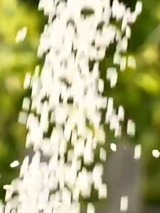 [XBYDZSW]鲜肉粽子蛋黄肉粽 Jiaxing style fresh meat zongzi egg yolk meat reed hand fresh specialty vacuum Dragon Boat Festival in bulk