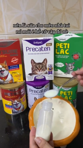 [100g - 400g] Sữa bột cho chó Predogen Dr.Kyan