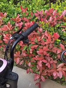 Móc Đôi Treo Xe Đẩy Em Bé Xoay 360 Độ Điều Chỉnh Được Tiện Lợi Mới ALLIN