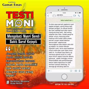 obat herbal untuk sendi nyeri sendi lutut Gamat emas