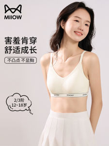 Catwoman Seamless Teenage Bra for Middle School Students 13 Years Old Large Children Underwear Simple Style No Steel Ring