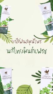 (โฉมใหม่) นกไทย ยาสีฟันสมุนไพร มินต์เฟรช 100 กรัม 2 หลอด