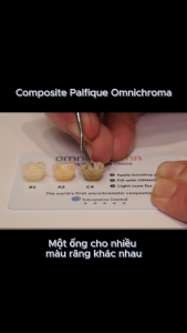 Composite Omnichroma Tokuyama Nhật Bản Một ống cho nhiều màu răng Ống 4g