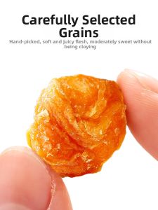 QILIXIANG | Convenient No-Shell Longan Meat Dried Fruit 100g