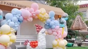 FY Macaroon Balloon 10 Inch Colorful Sweet Latex Raya Pearl Belon Birthday Wedding Party Decoration 马卡龙气球