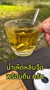 ชาสมุนไพร เห็ดหลินจือแดง G2 (ชนิดหั่นสไลด์อบแห้ง) ส่งตรงจากฟาร์ม