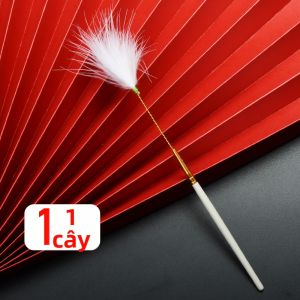 Dụng Cụ Làm Sạch Tai Que Lông