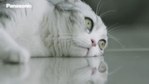 Panasonic Ceiling Fan (70 Inch/Pipe Type) Mondo Motion Sensor Twin DC Motor Ceiling Fan F-M18LY / F-M18LYVBKSH