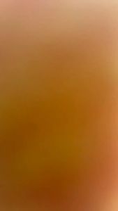 12pcs/Pack 40x40cm Microfiber All Purpose Cloth