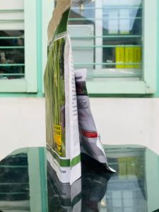 Benih Kacang Panjang MADINA Varietas kilisuci dari Halbanero