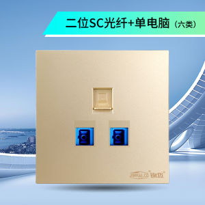 Móc Cáp Quang Jinhai SC Móc Lắp Âm Tường Gia Đình Nhiều Lỗ 86 Kiểu Kết Nối Mạng Máy Tính Mô-đun Vật Liệu PC Chống Cháy