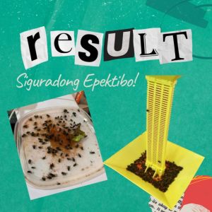 Flystar Advance Agita Zyrox Alternative Pamapatay Langaw Killer Fly Control Fly Killer Fly Bait Poultry Bait