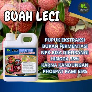 InterFarm Booster Poc Poc Organic Fertilizer - Cairan Nutrisi Buah Leci Merah