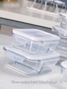 Glass Lunch Box for Adult Kids Set Leak Proof Microwave Safe Lunch Bento Box With Cover Tupperware - Paez Official