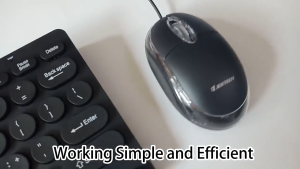 JERTECH DELICATE MT300 WIRED MOUSE | USB PLUG